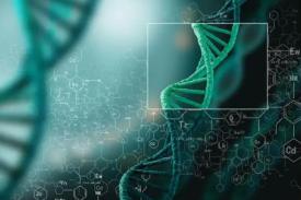 中国肿瘤检测市场机遇钻研项目